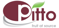 Dupak partner - Pitto